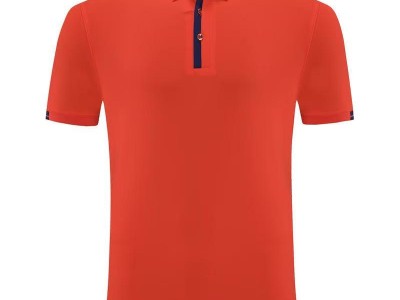 1801# 休闲polo 多色图1