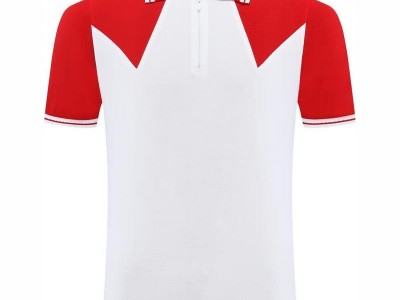 1841#翻领POLO  多色图1