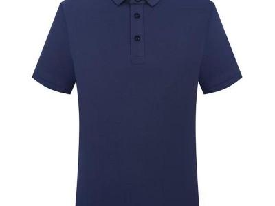 2109冰离子纯色翻领图3