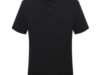 2109冰离子纯色翻领图4