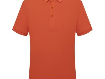 2109冰离子纯色翻领图7